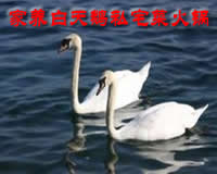 做熟食办理什么证件，老师傅教你避开常见坑